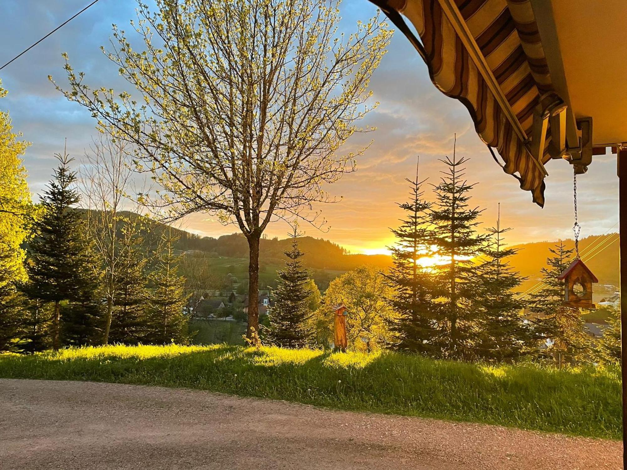 Ferienwohnung Am Buergele Schopfheim Bagian luar foto